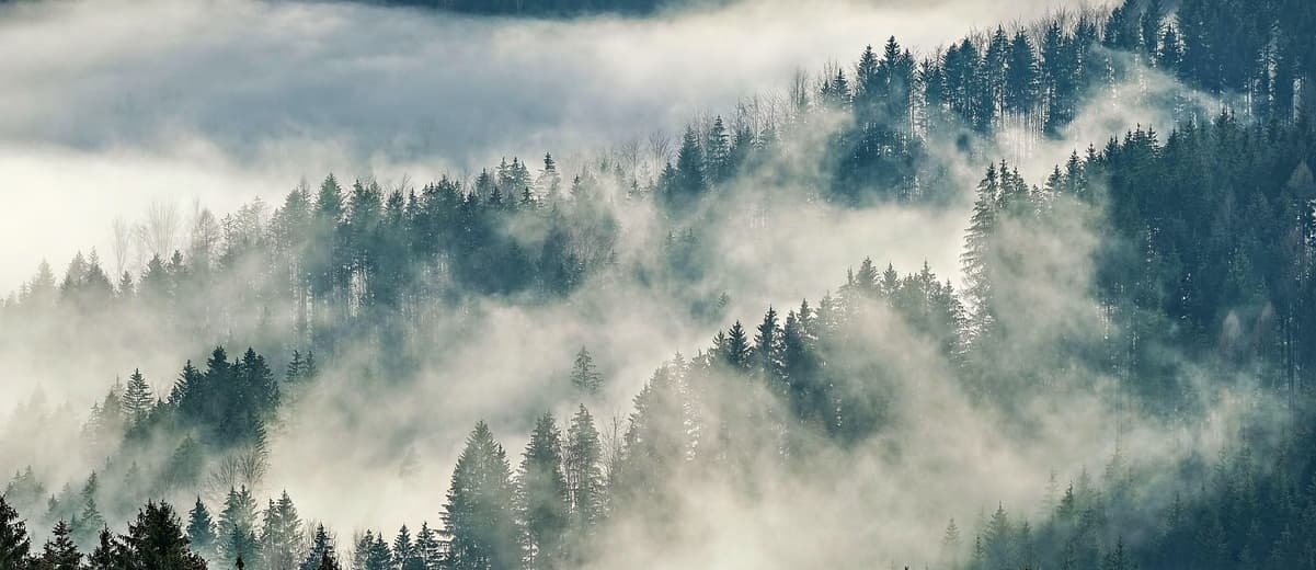 Eco kolekce Homefield